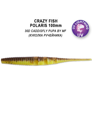 Crazy Fish Polaris 4" 38-100-30D-6-F