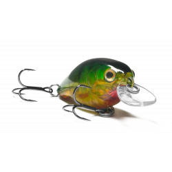Cranky 40